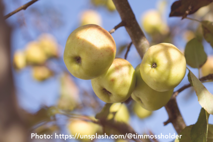 Suddenly my MacBookPro becomes unresponsive, tempted to fling it out the window, and curse Apple. But just wait, what’s actually going on?
