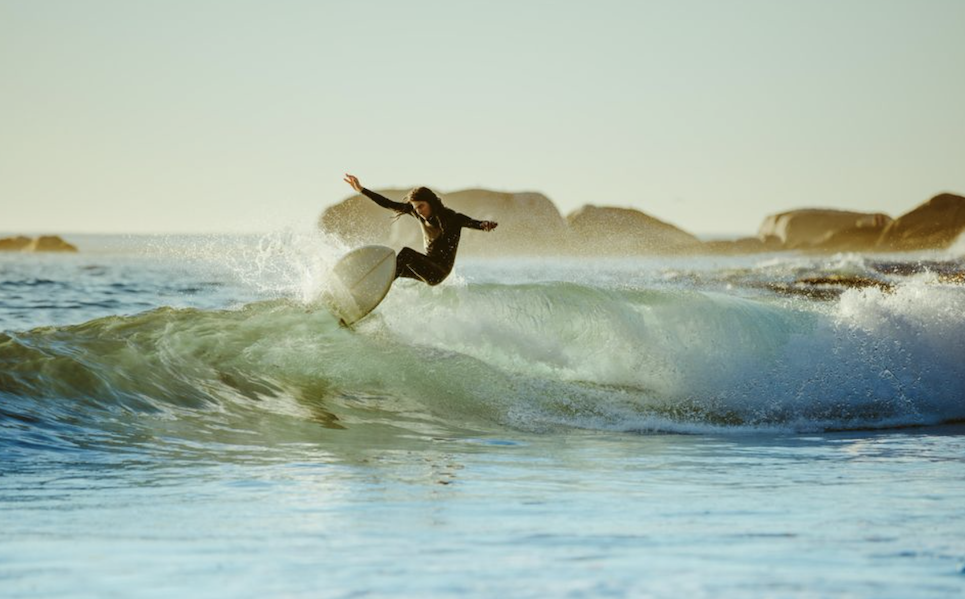 Surf towards a happier place, negentropic success